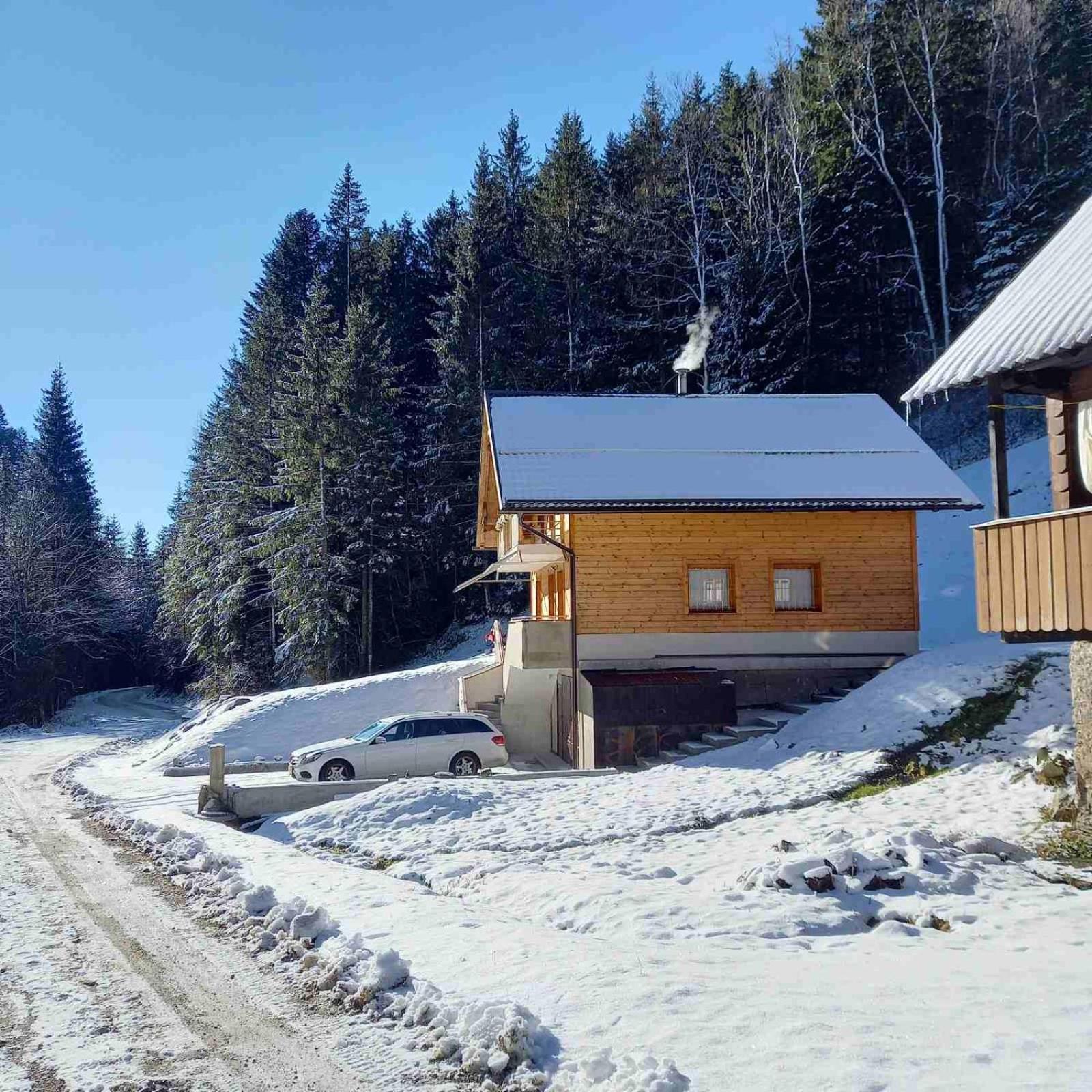 Hisa Lunna - Apartments In A Forest Paradise Vitanje Exterior foto