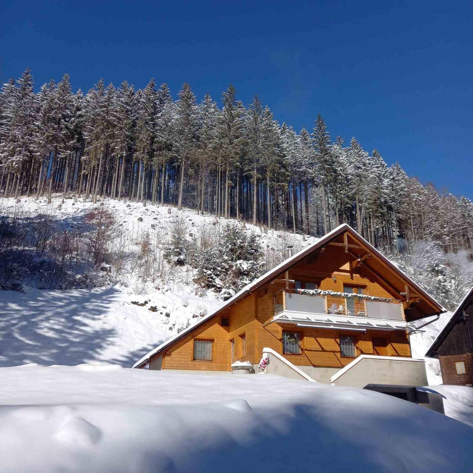 Hisa Lunna - Apartments In A Forest Paradise Vitanje Exterior foto