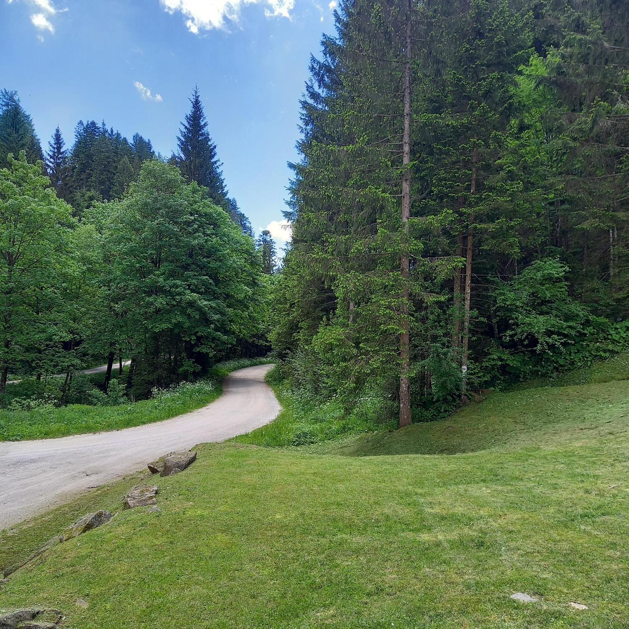 Hisa Lunna - Apartments In A Forest Paradise Vitanje Exterior foto